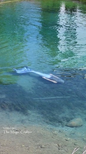 A mermaid swims down a river in Northern Michigan. This is a video of me dressed as my Mermaid Phantom character during a public event. The video was filmed by my dad during the event, which was approximately a 3 hour event. I am The Magic Crafter, a professional mermaid performer based in Michigan. I'll admit, I've been afraid to post this video, which belongs to me and was originally posted by me, because last time I posted it to Facebook, they "fact checked it," citing my own blog post (which