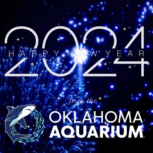 26 reactions · 4 comments |  As we dive into 2024, may your days be filled with wonder, joy, & exciting aquatic adventures at the Oklahoma Aquarium!  Here's to a year of new discoveries, engaging exhibits, & making memories that will last a lifetime!  Cheers to 2024 – a year of endless possibilities & infinite adventures!  | Oklahoma Aquarium | Facebook