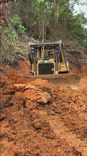 D6R XL Reliable Machine for Road Construction in Plantations