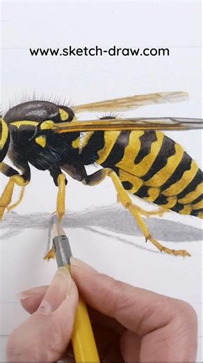 I updated my Sketcher and it’s now available as a subscription-based web app on www.sketch-draw.com