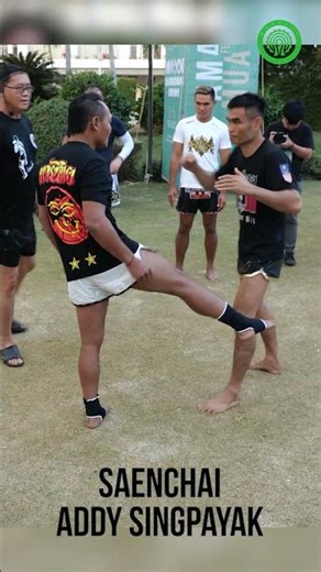 Saenchai Muay Thai - Setting up BIG Low Kicks