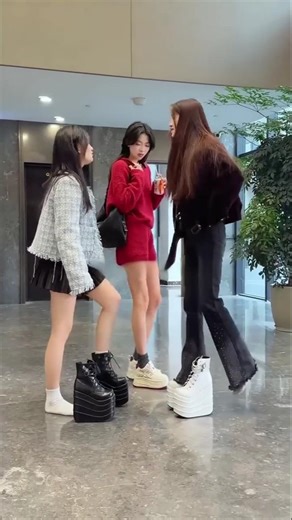 Funny fight over shoes 🤣