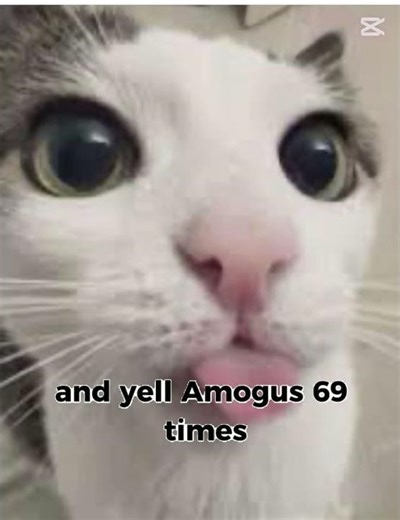 Idk im dumb to put a title :\\{"simpleText":"Sign in"}{"simpleText":"Sign in"}{"runs":[{"text":"Save"}]}Want to watch this again later?Ryan_plays{"simpleText":"Personalized"}{"simpleText":"None"}{"runs":[{"text":"Unsubscribe"}]}Ryan_plays?Ryan_plays?5:40{"content":"butterbox"}{"content":"7.2M views"}{"content":"9 years ago"}3:00:01{"content":"Yill Bake"}{"content":"2.3M views"}{"content":"1 year ago"}8:00{"content":"Hyperloop"}{"content":"3.3M views"}{"content":"4 years ago"}17:00{"content":"Ira