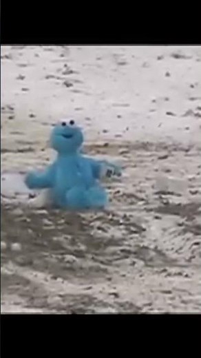 Cookie Monster EXPLODES