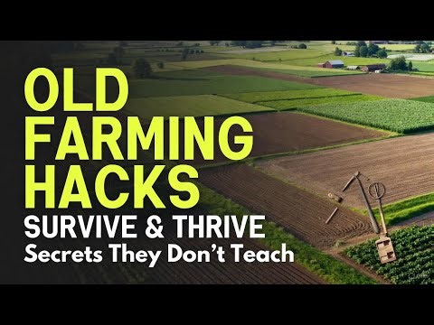 5 Farming Hacks Families Used During the 1930s That Still Work
