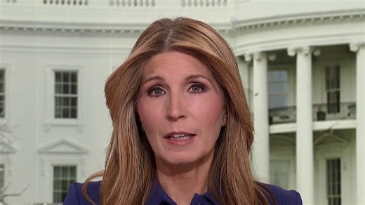 A line we as a country cannot uncross: Nicolle Wallace reacts to Don Lemon’s arrest over protest