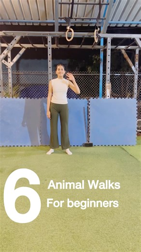 Animal Walks For beginners to Builds strength in arms, shoulders, core, hips and legs simultaneously