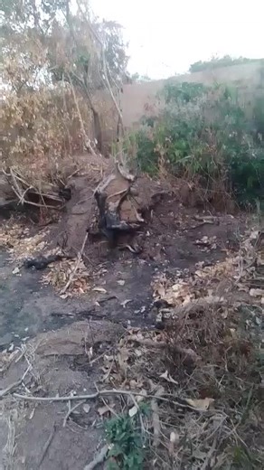 Virgin 30 plots of land directly from the owner, the wall you are seeing is the HAP company, opposite is City of David estate by UNTH, Ozalla going for 3.5m. Mix-use Property, good for both commercial and residential purposes. | Edwin Anozie