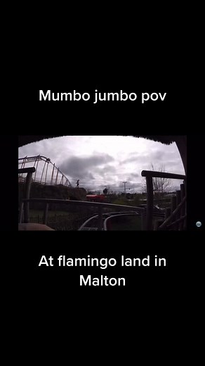 Video from coaster crazy #flamingoland #uk #rollercoaster #mumbojumbo