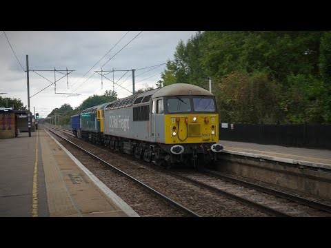 Grids, Tractors, Sheds and a Cat! | ECML South | 26/09/2025
