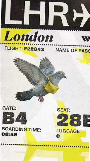 With Western Union money can travel like you