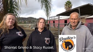 50K views · 9.8K reactions | The Mules were invited to rest at...