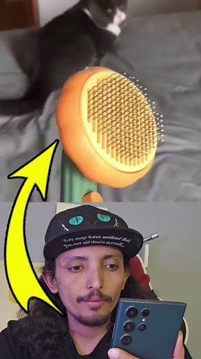 1.6M views · 31K reactions | Experience the best comb for cleaning cat hair ✅ | Saddam alezzi | Facebook