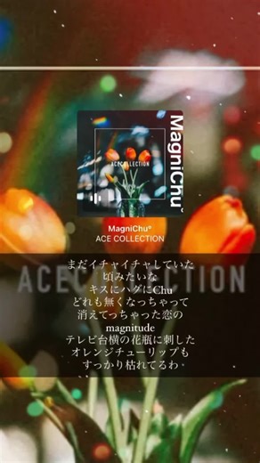 癖になるマグニチュードエースコレクションのおすすめ曲