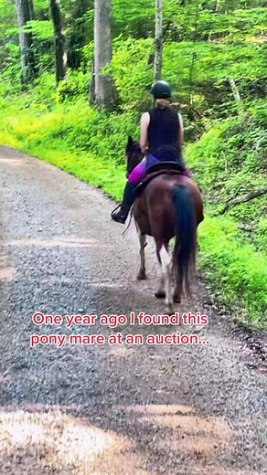 Meet Cruella: The Warrior Pony with Grit and Determination