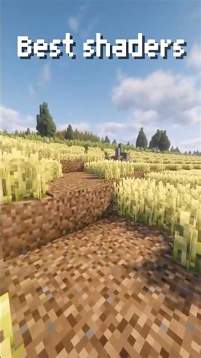 what shader do you think is the best🤔 #minecraft