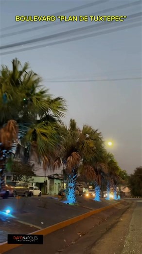 BOULEVARD “PLAN DE TUXTEPEC” 2025. Cada persona lo percibimos de diferente manera y eso es lo bueno de la vida. Tuxtepec, Oaxaca. #JuntosSiPodemos #Tuxtepec. #Turismotuxtepec. #Papaloapan. #riopapaloapan. #Tuxtepec. #Oaxaca. #lomasviral. #gracias | Tuxtepec de mis Amores