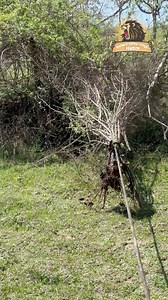 40K views · 606 reactions | New technology by Hatim Mir | Bangus Valley Vlogs | Facebook