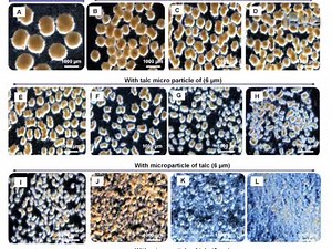 Customization of Aspergillus niger Morphology Through Addition of Talc Micro Particles