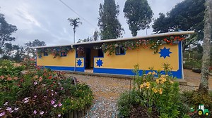 166K views · 6.2K reactions | La Casa De Las Flores ⚘️ En La Belleza Santander, Crisanto Cruz lleva más de 20 años cultivando las más hermosas flores de la región y hoy comparte con nosotros un poco de su jardín. | Campo Vida | Facebook