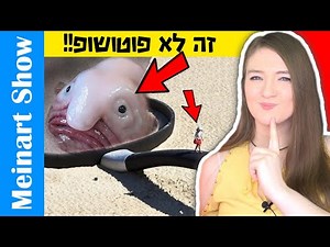 תמונות שנראות כמו פוטושופ אבל זה אמיתי – פרק 3! דברים שבחיים לא ראיתם