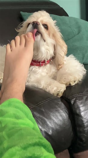 Vidéos de reCODE (@recode__) avec son original - reCODE