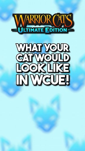 Meet Willow: The Cutest Warrior Cat 🐱😍