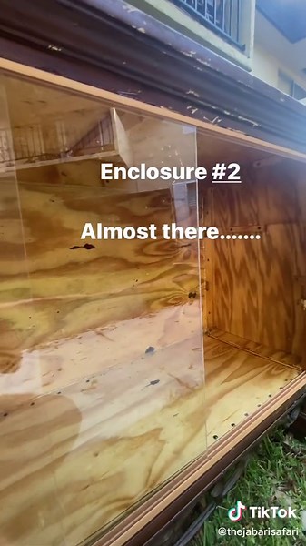 Custom Snake Cage Builders: DIY Reptile Enclosure Builds