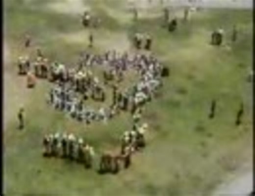 Protein synthesis: an epic on the cellular level