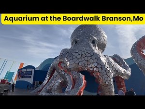 Full Tour Inside Branson Aquarium – You Have to See This 😱🐟MO