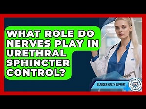 What Role Do Nerves Play In Urethral Sphincter Control? - Bladder Health Support