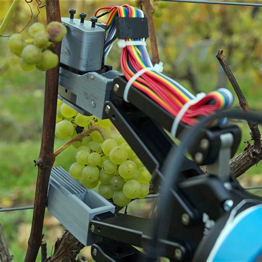 Watch a Robot Attempt to Pick Grapes at a Vineyard