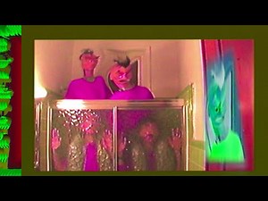 Macula Dog - Purchase Power-Station