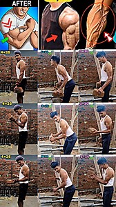 Triceps, Biceps, Forearms Workout At Home ✅ @sk_fitness123 . . . . . . . . . . . . . . . . . . . . . . . . #triceps #biceps #forearms #Workout #exercise #trending #athlete #fitness #hardwork #motivation #gym #viral #reels yoga | Ravi Raj