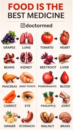 Food as Medicine: How to Target Every Organ with Whole Foods
