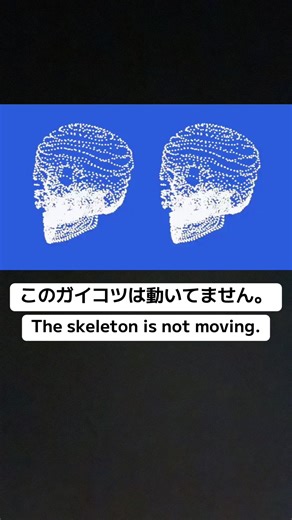 謎の動かないガイコツのイリュージョン