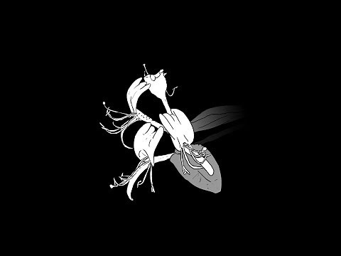 The Lamia Illustrated