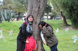 Project Overview ‹ ListenTree: Audio-haptic display in the natural environment – MIT Media Lab