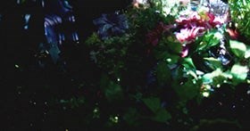 Mr Little Jeans - Oh Sailor Music Video Premiere 2013