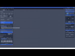 ZEISS ZEN 2.3: Multi-Position Time Series with Definite Focus.2