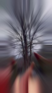 10K views · 209 reactions | The 2024 season is here. The Dragon awakens! Let’s ride! DealsGap.com | Deals Gap Motorcycle Resort | Facebook