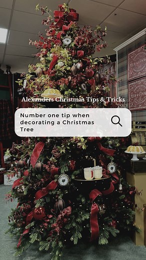 ✨ Alexanders Christmas Top Tip #1! ✨ Our number one tip for a beautiful tree…take your time to shape and spread each branch for a full natural look🎄 The tree forms your base, so make it perfect! Fluff every branch, angle the piece both up and down, and step back regularly to check for gaps. 🌟 (If you are using a basket tree skirt remember to put it on before you build and decorate the tree 🙈 we’ve been caught out with that too many times 😂) Once your base is ready, it’s time for the lights… 