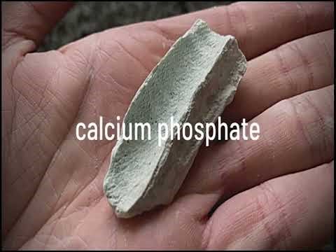 INTERESTING MATERIALS: Calcium Phosphate