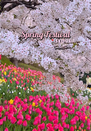Experience Spring in Seoul: A Flower Festival Guide