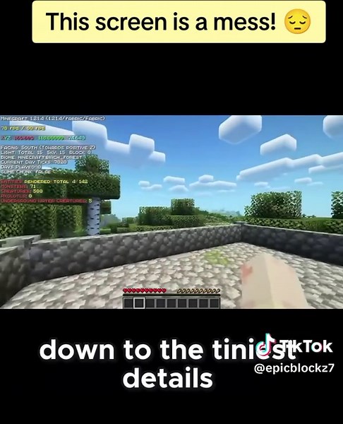 Top Minecraft Mods: Customize Your F3 Screen