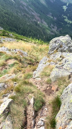 based, really based #socialism #communism #marxism #mao #viral | food