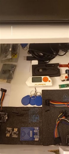 RFID Technology Compared to Flipper Zero Devices