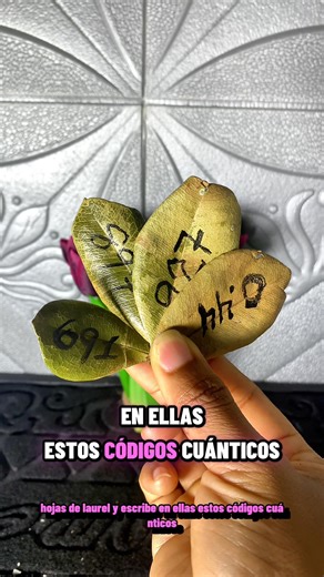 Dibuja estos códigos | Tips Estefani