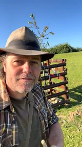 How can this tree that looks just a few years old be an international superstar? This is the story of the Glastonbury Holy Thorn. Got a good tree story, let me know #trees #glastonbury #woodland #folklore #pagan #christianity #outdoorliving | Woodland Classroom