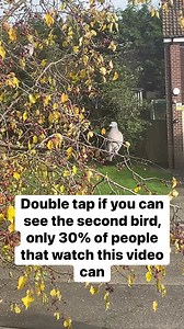 3M views · 189K reactions | The D Family Riddles Games and Hacks on Reels | Facebook